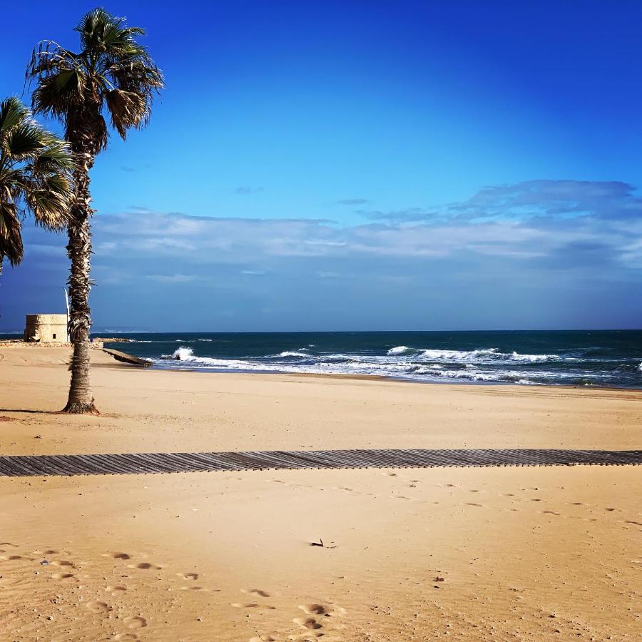 La Mata.Torrevieja.New Apartment 1M To The Beach) La Mata  Buitenkant foto